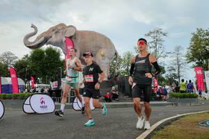 BIB: 
                            <button type="button" onclick="openModal(26528805)" class="btn btn-primary btn-sm float-right btn-popup" data-toggle="modal" data-target=".modal-high-quality">
                        <i class="fas fa-shopping-cart"></i> Add to Cart
                    </button>
                                            <button type="button" onclick="isThisMe(26528805, true)" class="btn btn-success btn-sm float-right btn-popup btn-isme hidden" data-toggle="tooltip" data-placement="bottom" title="นี่คือรูปของคุณใช่ไหม คลิกที่นี่เพื่อเอาเข้าอัลบั้ม">
                        <i class="fas fa-plus"></i> Add to album
                    </button>
                    <button type="button" onclick="isThisMe(26528805, false)" class="btn btn-warning btn-sm float-right btn-popup btn-isnotme hidden">
                        <i class="fas fa-ban"></i> Remove from album
                    </button>